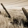 The history of the emergence of barbed wire